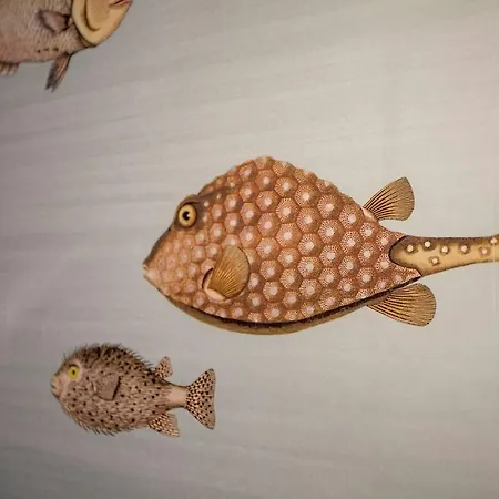 Casa Los Peces Apartment *